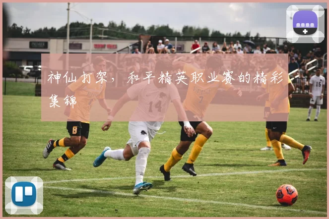 神仙打架,和平精英职业赛的精彩集锦